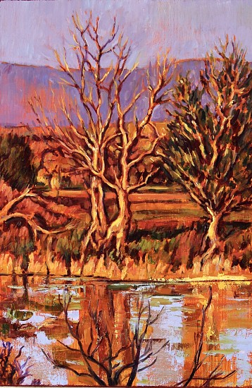 Gordon Wilson, Danube Trees
2025