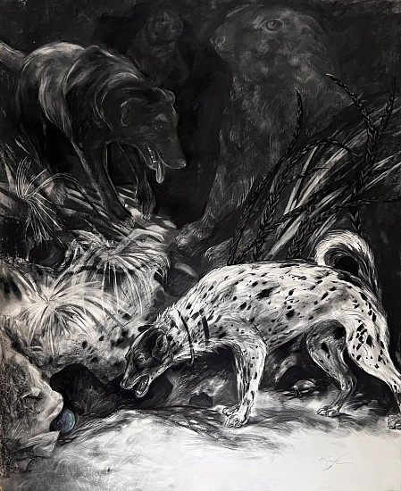 Kay O'Rourke, Marmot
2015, charcoal on paper