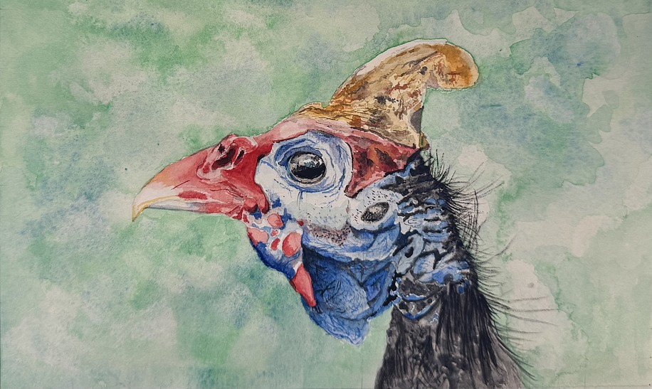 Allan Joubert, Watchful Eye
2025, water color